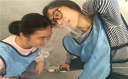 重慶拓展培訓