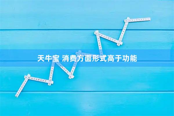 天牛宝 消费方面形式高于功能